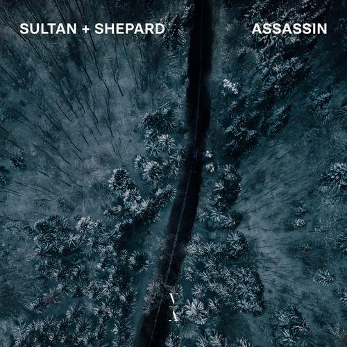 Sultan + Shepard - Assassin